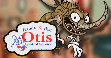 Pest Control Knoxville Tennessee